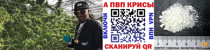 Альфа ПВП СК КРИС сколько стоит Таштагол