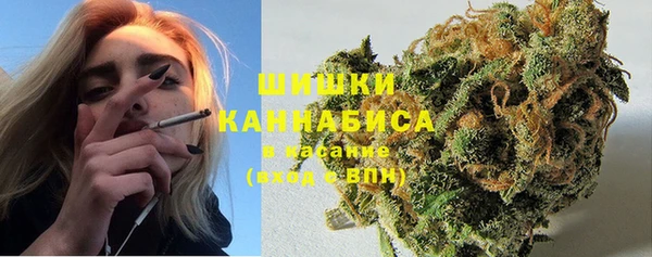 ECSTASY Белокуриха