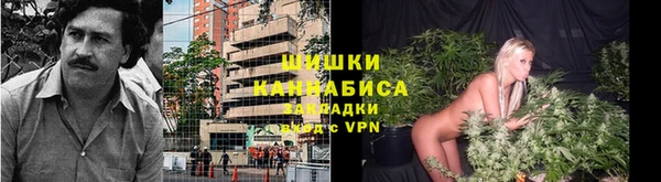 ECSTASY Белокуриха