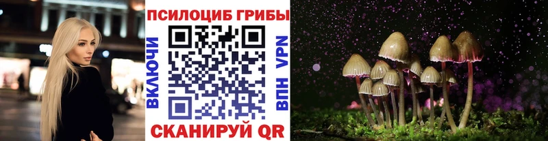 OMG   Таштагол  Галлюциногенные грибы прущие грибы  наркота 